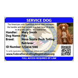 Service Dog - Standard Package (Bundle and Save $38)