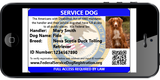 Service Dog - Standard Package (Bundle and Save $38)