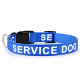 Blue Service Dog Collar