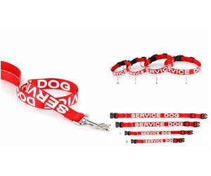 Red Service Dog Leash And Collar